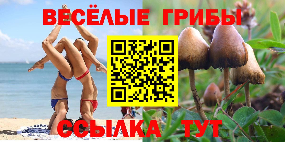 Киселёвск  Галлюциногенные грибы прущие грибы  Вход с VPN 